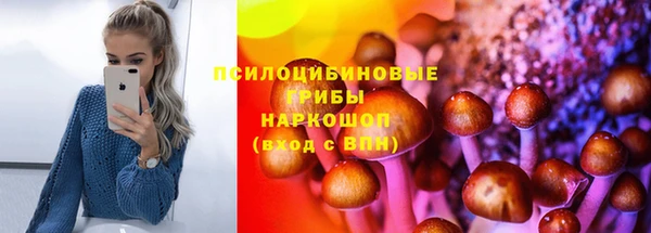 прущие крисы Надым