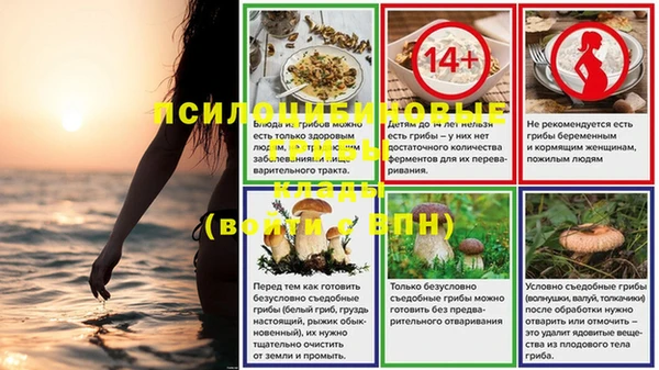 прущие крисы Надым