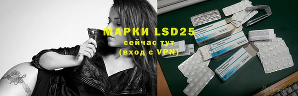 прущие крисы Надым